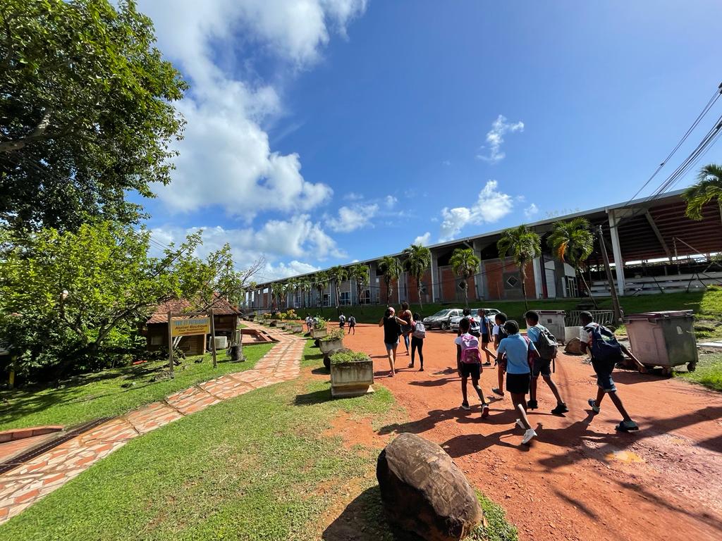 Christo08955379's tweet photo. Reprise de l'#Ecole ouverte de Daniel Pidery du #REP+ #Dillon 2, activités #artistiques et découverte du #patrimoine de #Martinique associées à l'aide en français et en mathématiques: mangrove initiation poterie musée de la mer @acmartinique @CircoFdF1 @fdfville @EPrioritaire972 https://t.co/wXJpmCocLv