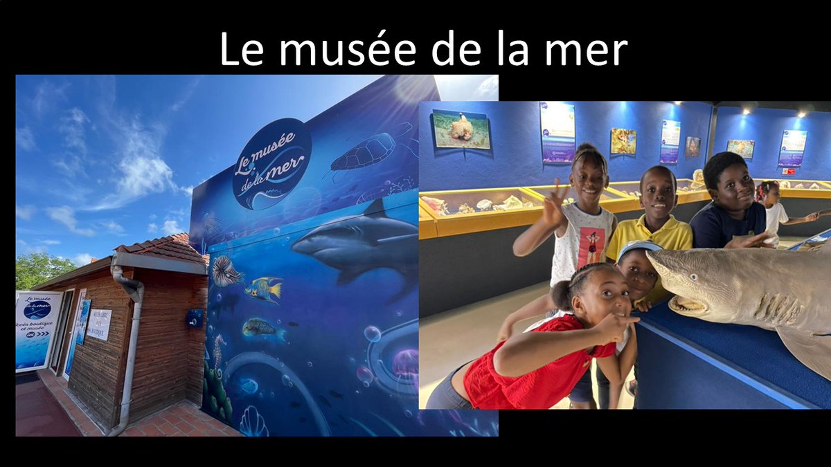 Christo08955379's tweet photo. Reprise de l'#Ecole ouverte de Daniel Pidery du #REP+ #Dillon 2, activités #artistiques et découverte du #patrimoine de #Martinique associées à l'aide en français et en mathématiques: mangrove initiation poterie musée de la mer @acmartinique @CircoFdF1 @fdfville @EPrioritaire972 https://t.co/wXJpmCocLv