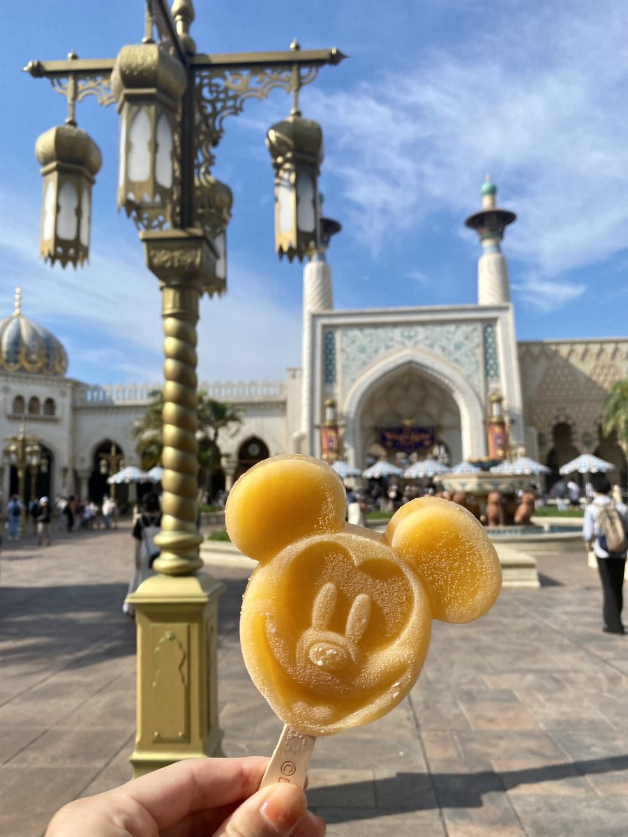 risapyon0611's tweet photo. 写真撮られることを忘れた私🥹🥹
いつのまにか撮られるの下手になったわ🥹🥹😂
ほぼ逆光🤣カメラマンにも問題アリ🤣🤣
久々のツイッターがこれでごめん🥹インスタには載せられないクオリティでしたん🥹🥹🫶
まとめるとディズニー最高💪 https://t.co/cecQys5rf8