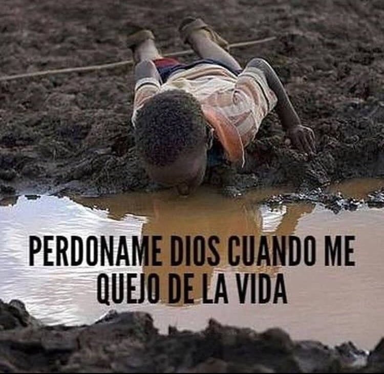 MartaEscalona65's tweet photo. La frase de hoy ... https://t.co/WOaXU3SPKG