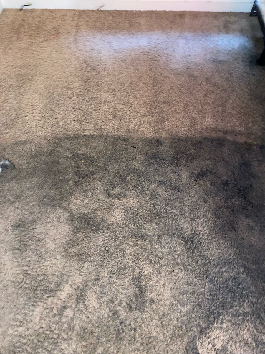 The proof is in the pudding! Check out this before and after