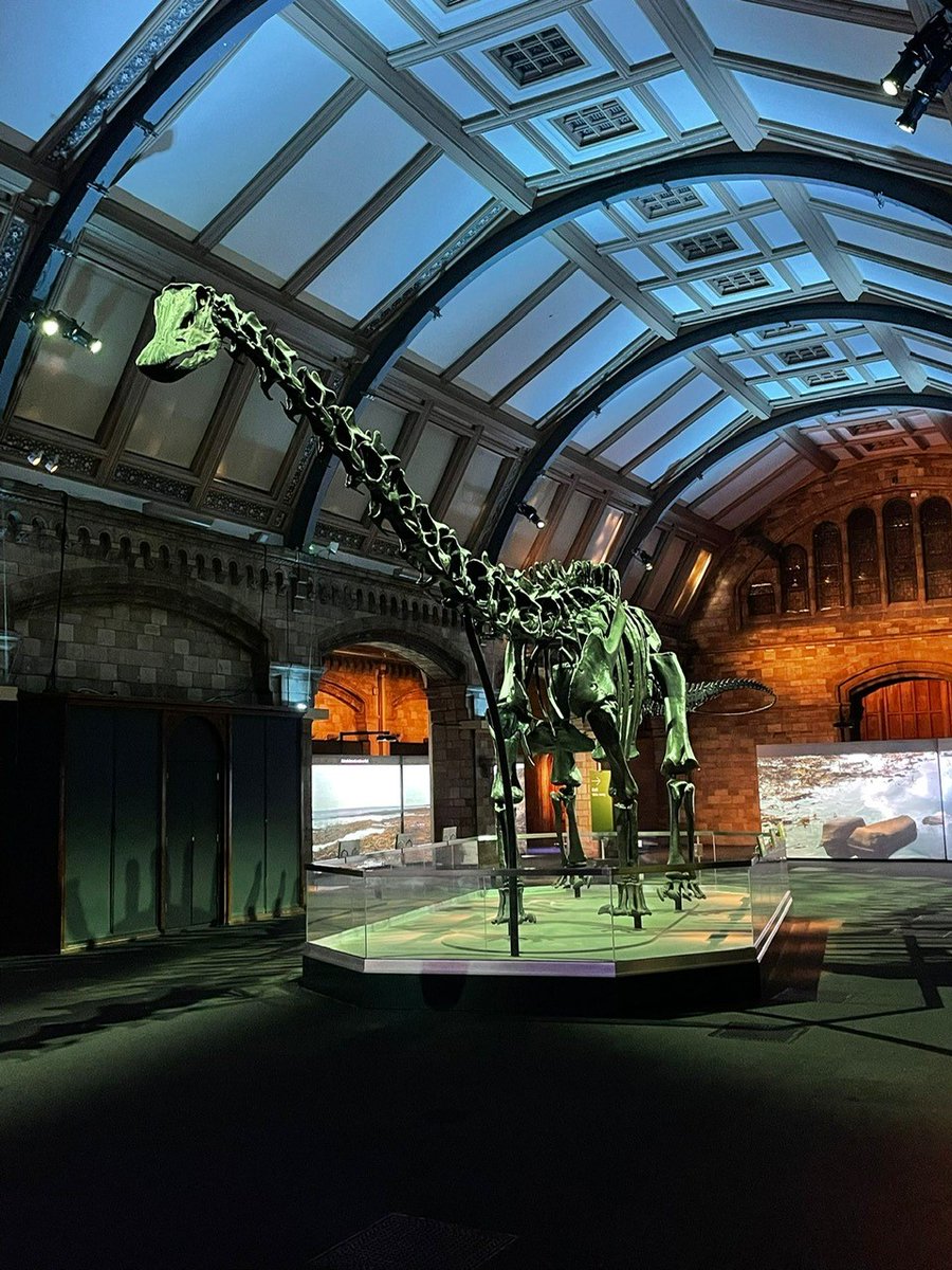 pims_solutions's tweet photo. PIMS have started work at the prestigious Energy Centre at the heart of the Natural History Museum, works include replacement Absorption Chiller, new Electric Chiller and piped services, pump replacement, air source and water source heat pumps and all system modifications 
#nhm https://t.co/KpopNGgM15