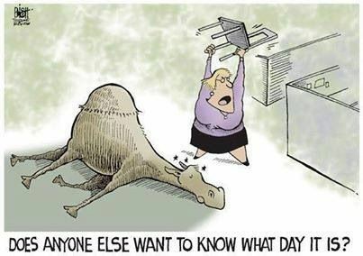 bridgetNsusie's tweet photo. We can do this people... only two more days until Friday...
Share your favorite Wednesday memes with us!
@ZoeyCatBell
#KindnessStartsWithASmile #TheBridgetLisaNSusieShow #TBLASS https://t.co/lsQaZw7Ek7