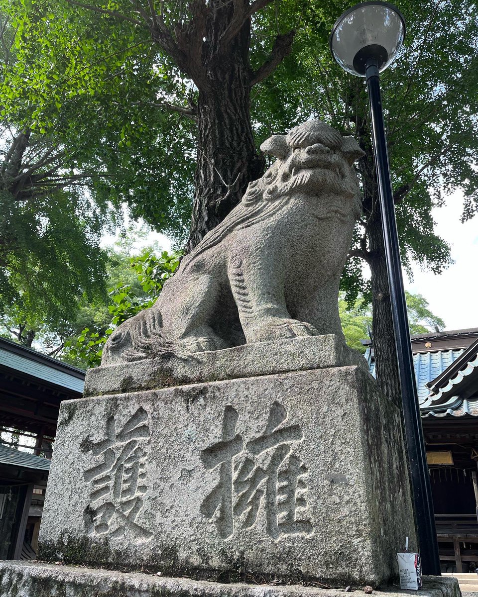 REDDRAGONCIRCLE's tweet photo. 2022.8.24
朝チャレンジ6日目
Defeat yourself.
on your vision,lead to love.
#チャレンジアサナ
#朝チャレンジ
#ワナカムヨガスクール
#621
#defeatyourself
#onyourvision
#leadtolove https://t.co/OsQODP07mV