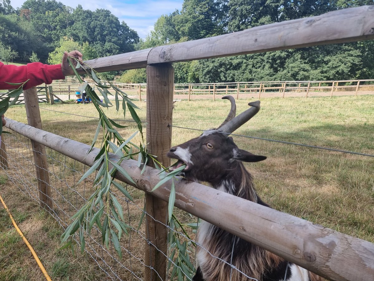 ProudtocareL's tweet photo. #Socialcare residents and staff alike had a fantastic time at #SweetTree farm in #Barnet yesterday.
Log onto https://t.co/YrBAJiKq7Y to find out how you can make a difference in a new #job today!
@louisekeane1986
@MaritessMurdoch
@SweetTreeHCS https://t.co/GMx4PAk5sA