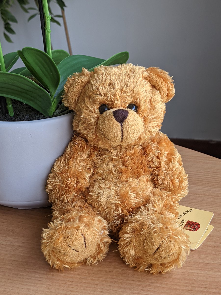 ItsADodl's tweet image. Did you know Dodl bear has some cute companions? These 'blessing bears' all come with their own special occasion t-shirts and are on sale for £6.50. Use the Code - SAVE10 for an EXTRA 10% off!  🥰🙌etsy.com/uk/shop/DaisaD…  #specialoccasion #plushbears #gifts #etsy #teddy #cute