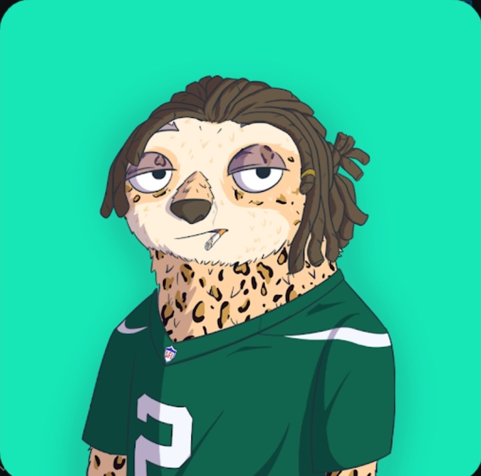 ChalupasCards's tweet photo. @LaunchMyNFTs I've got a dozen of these @SlothzNFT. Forging (picking traits from 2 #Slothz and turning them into a rarer one with a new random background and "swag trait") is live right now! https://t.co/zhpFfUZ4GW