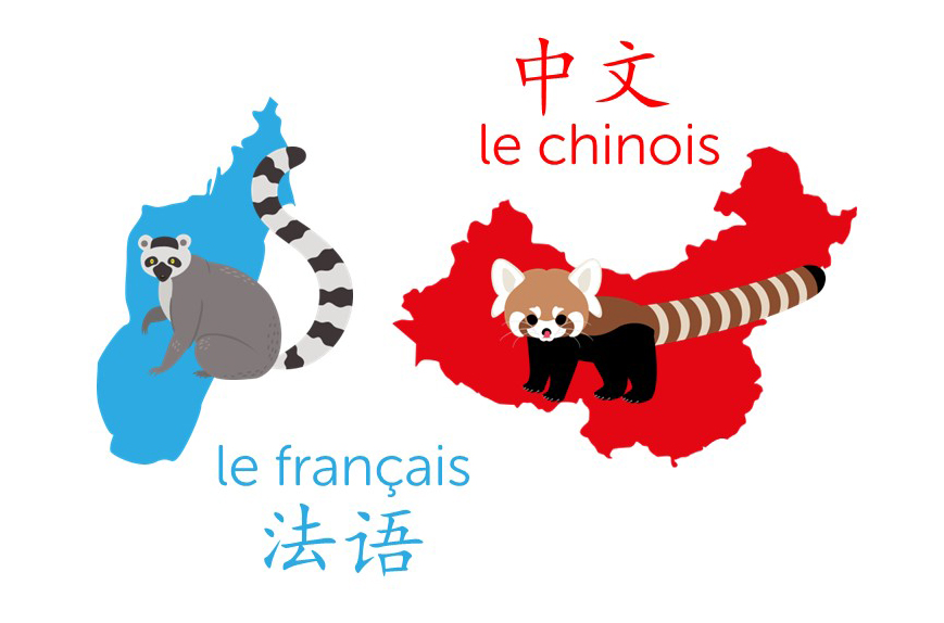 Sandie_Robb's tweet photo. S4-S6 classes #French and/or #Mandarin interested in putting your language skills to use @rzss #BeyondthePanda programme-Stripy Tails! Help with sound files &amp; resources. Find out more at https://t.co/cyev1zSmYv Comparing ring-tail lemurs &amp; red pandas! #languagelearning #languages https://t.co/2mQeT7cCO0