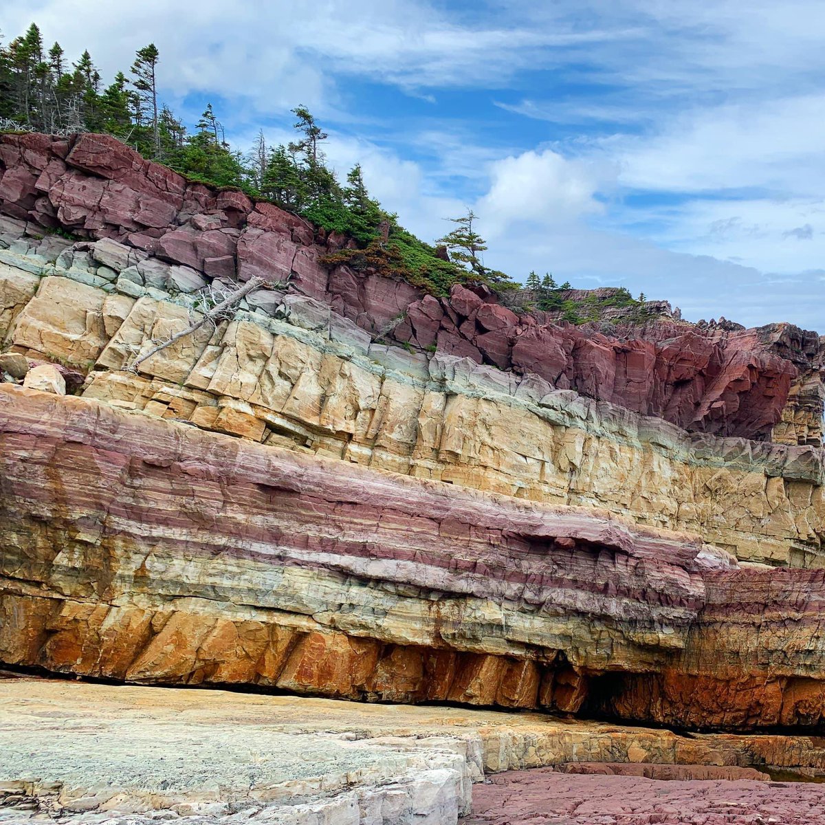 Layers of cake or rock? Lol
Amazing geology from one of the GeoPark locations here on the Bonavista Peninsula called Brook Point. It’s only a little detour off the King’s Cove Lighthouse Trail. Worth the detour if you hike the trail. #exploreNL #hikingadventures