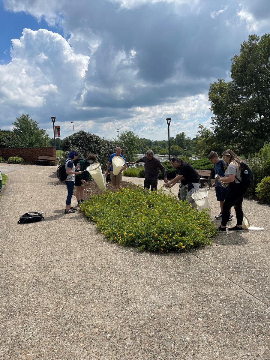 Bug-catching simply makes these Entomology students' hearts flutter! 🦋✨ #iu #ius #iusoutheast #entomology #bug #college #science