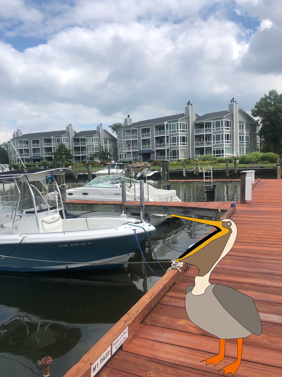 PelicanMgt's tweet photo. Check out these photos I took when I flew down to Oyster Cove a few week’s ago. #boats #boatsboatsboats #marina #chesapeakebay #community #communitymanager #communitymanagement #propertymanagement #marylandeasternshore https://t.co/sCjlsuNmpE