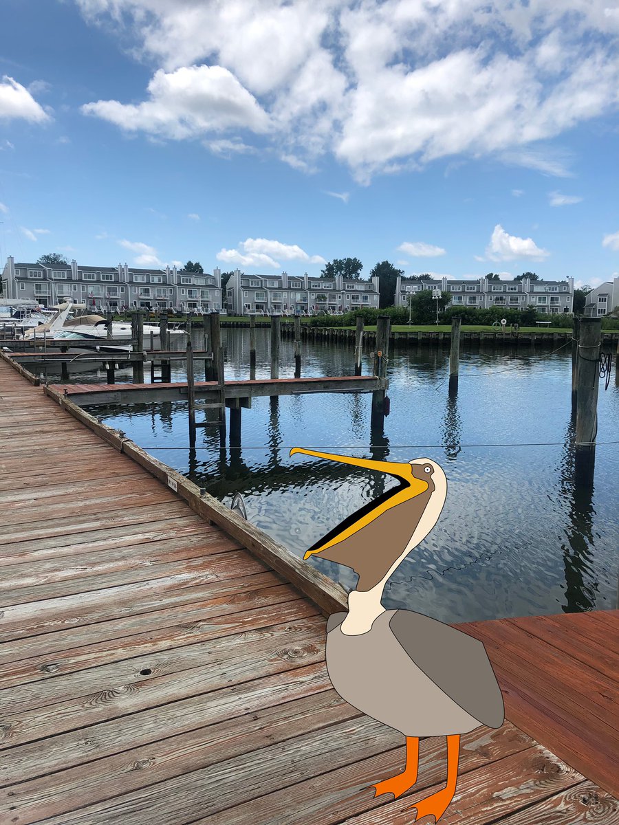 PelicanMgt's tweet photo. Check out these photos I took when I flew down to Oyster Cove a few week’s ago. #boats #boatsboatsboats #marina #chesapeakebay #community #communitymanager #communitymanagement #propertymanagement #marylandeasternshore https://t.co/sCjlsuNmpE