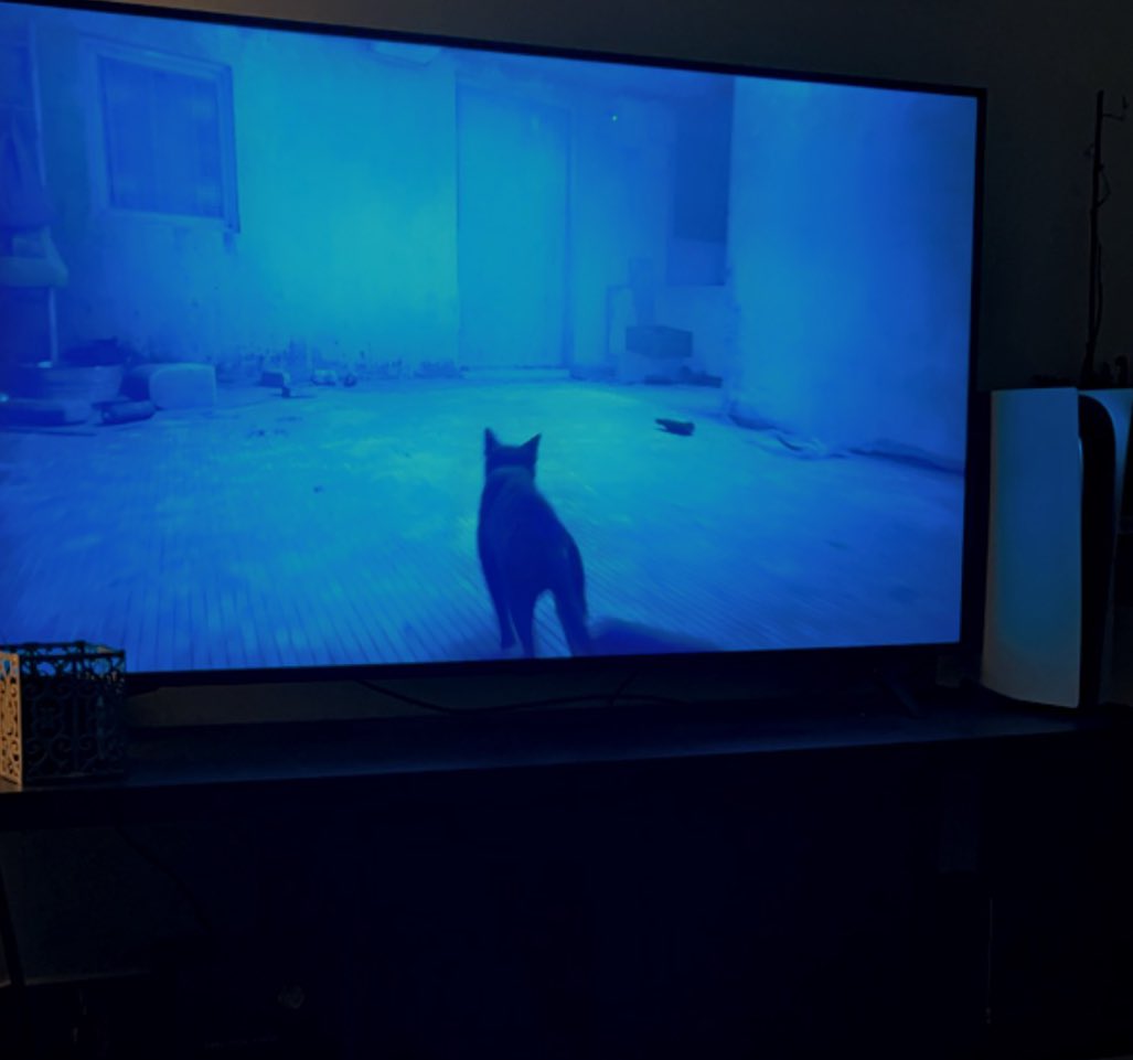 BashayersSR's tweet photo. Awesome game 🎮🐈
#sray #strayfanart #PlayStation https://t.co/CvZh1znYcp