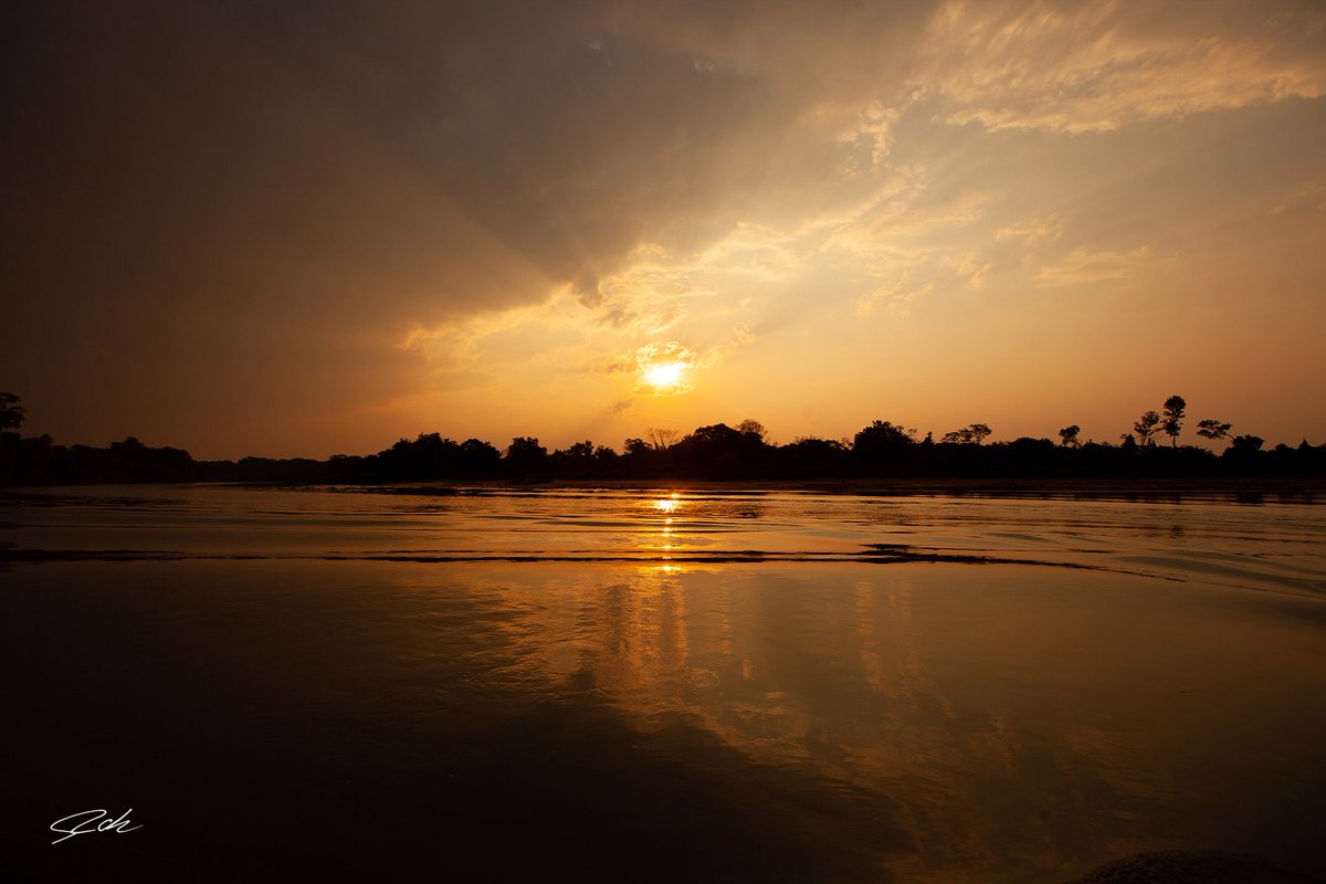 GM!!! Sunset at Piquiri River, Pantanal, Brazil.
#sunset #nft #NFTs #photography #sky #sun #river #NFTCommunity