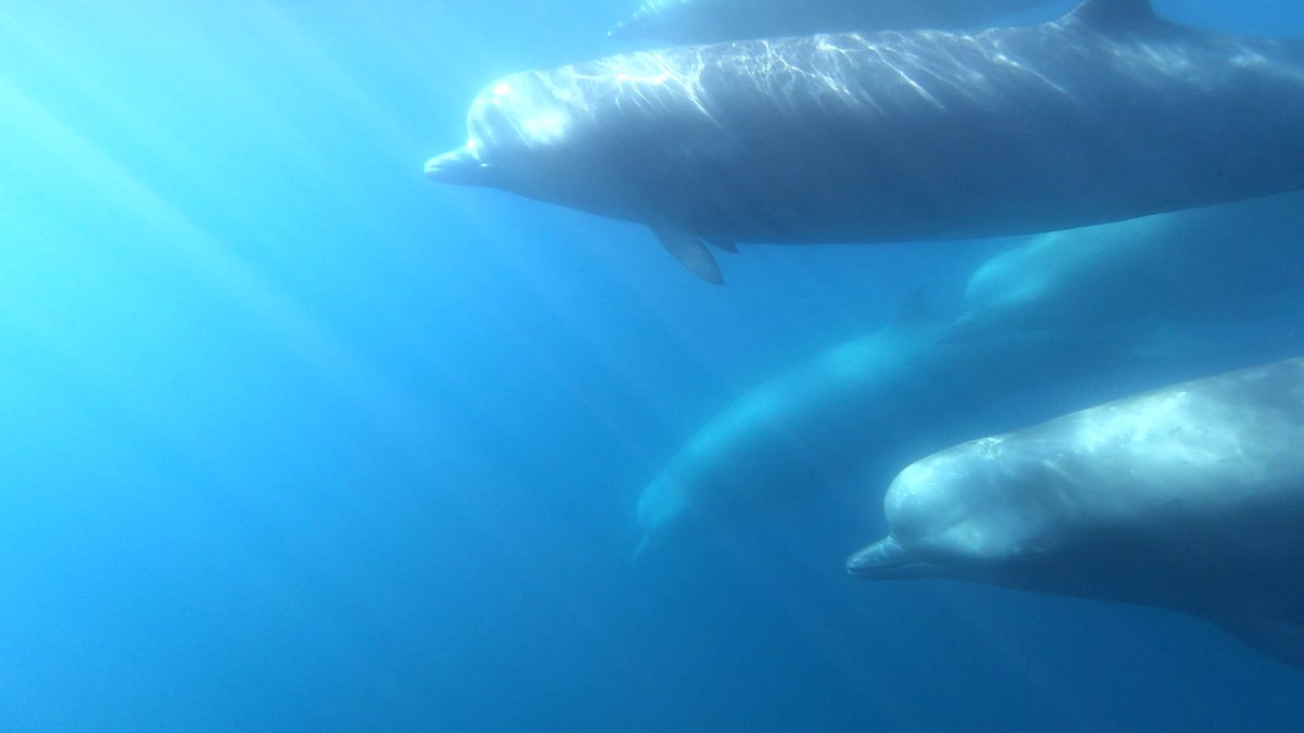 Evelien de Greef tweet media