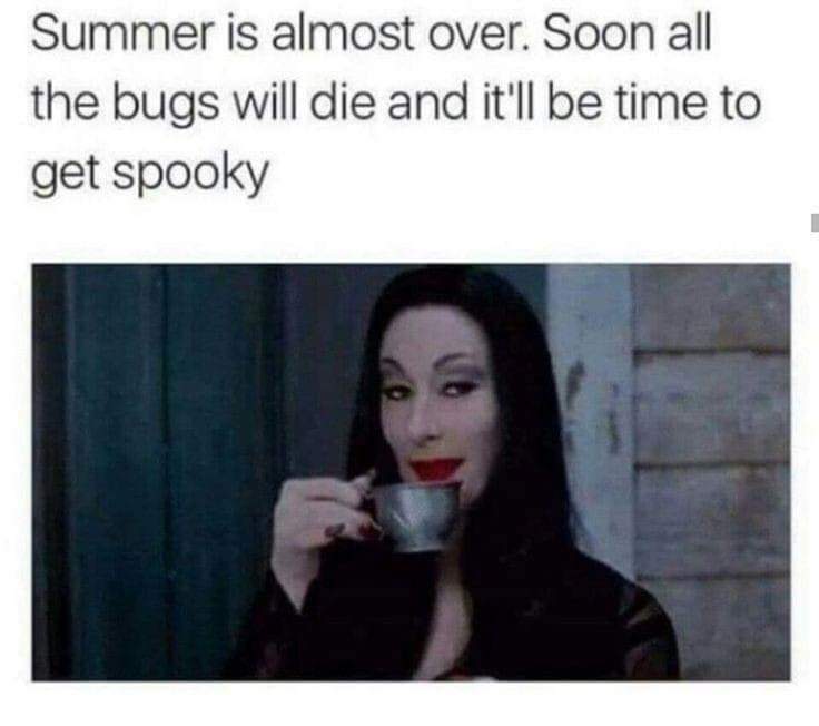 SinclairOTS's tweet photo. Come on Autumn, we miss you https://t.co/6TWQHJsD7e