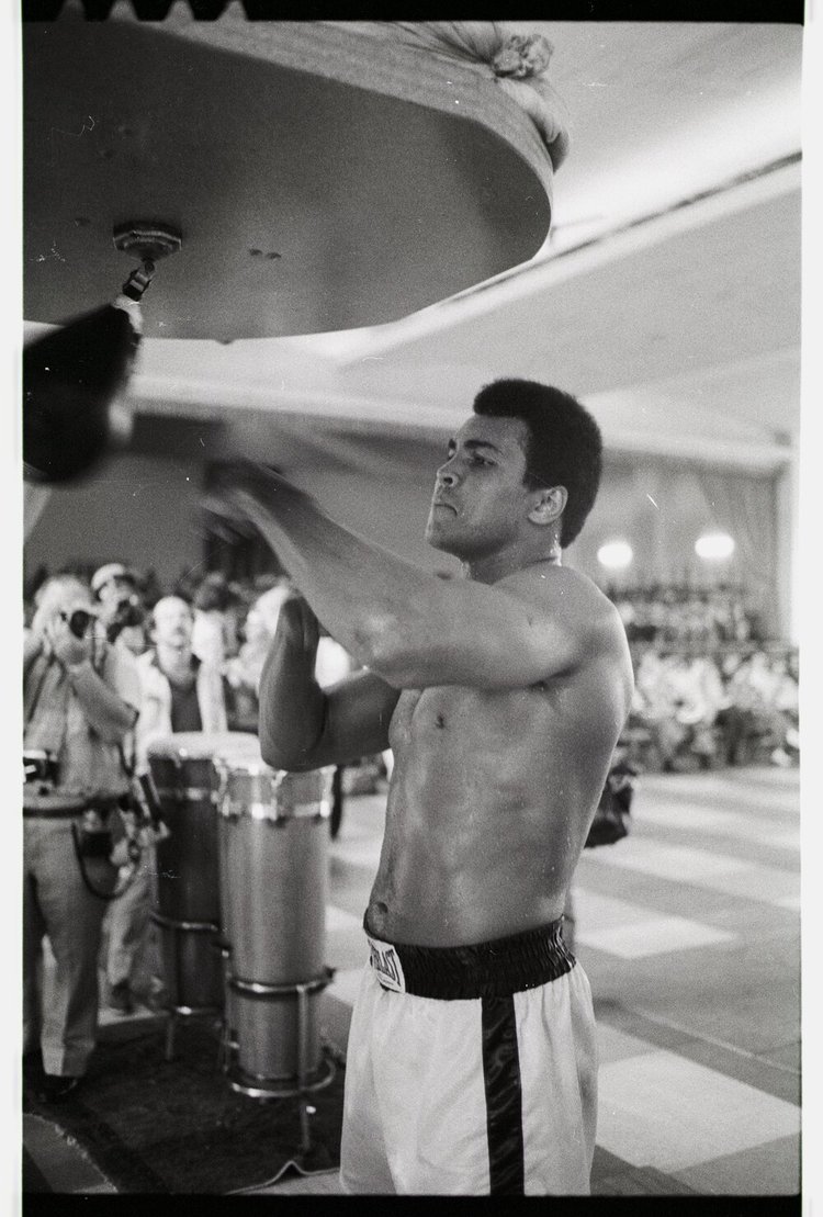 MuhammadAli's tweet image. "You lose nothing when fighting for a cause … In my mind the losers are those who don’t have a cause they care about.” - #MuhammadAli 

#6CorePrinciples #Respect #Greatest #GOAT