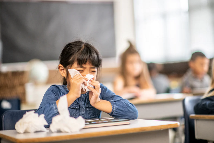 The Value and Importance of Air Purifiers in School Classrooms 🍎
filterqueen.com/blogs/news/the…