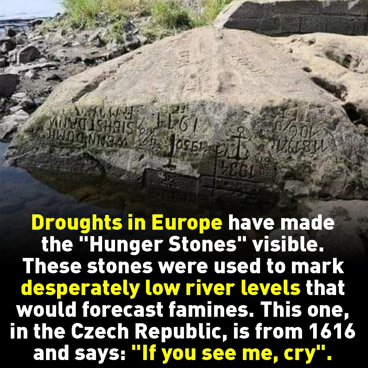 This is scary.

World leaders need to take #ClimateAction NOW.