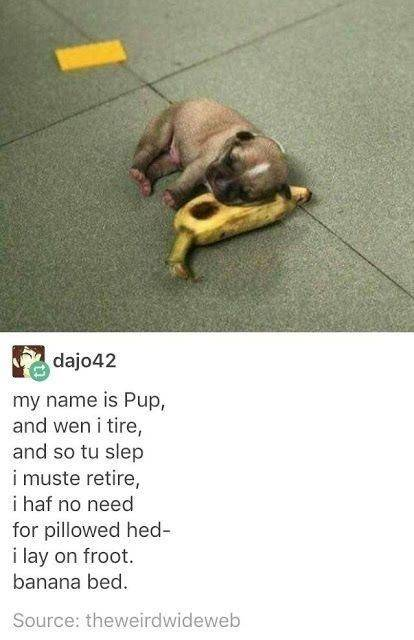 WholesomeMeme's tweet photo. https://t.co/CjkoafeBdV