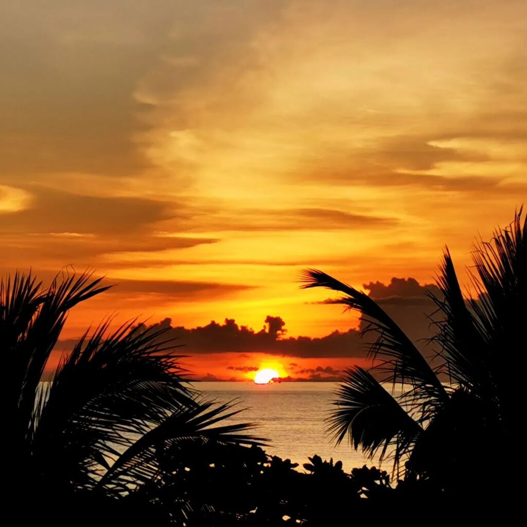 Björn Puls✨ tweet media