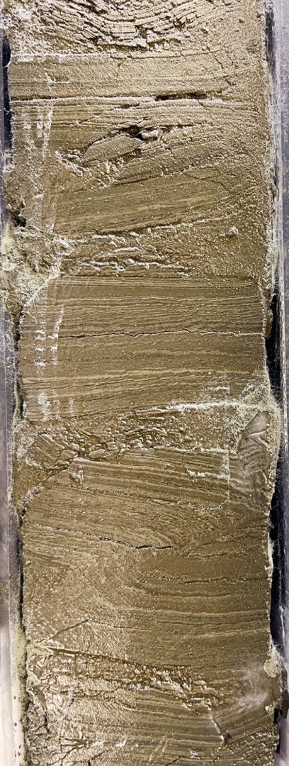 SchererReed's tweet photo. Looking at a small bit of the amazing #PETM record from #IODP #exp396 at #CBEP @marum_de @TheJR  @GCR_IODP #diatoms https://t.co/Y4HtlAVTrY