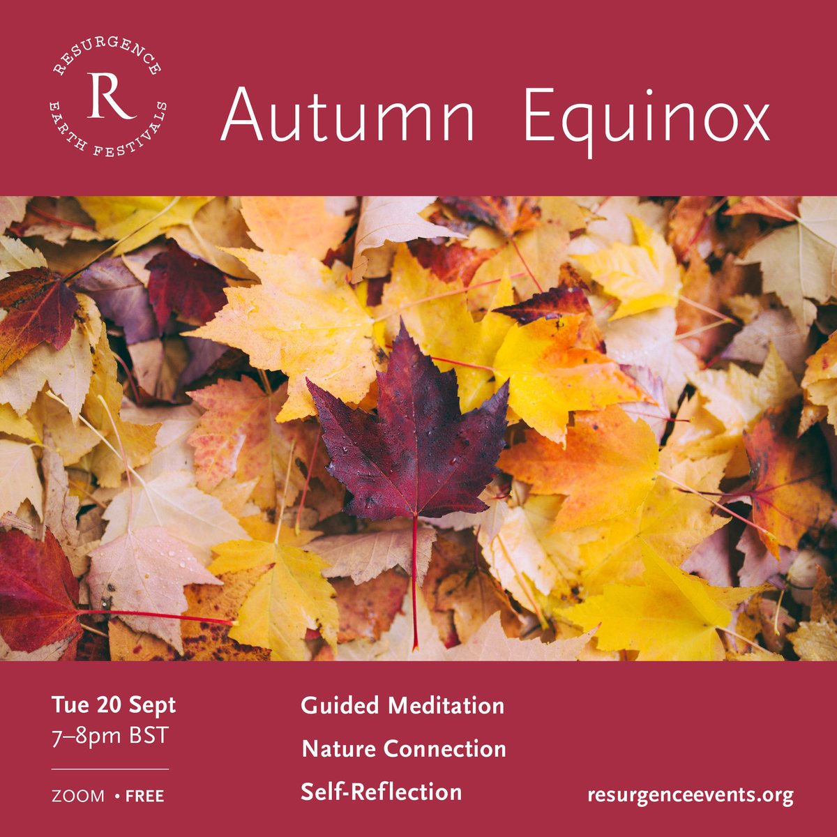 Resurgence_mag's tweet image. Newsletter: Practices to help us #change the #world &amp;gt; conta.cc/3QD01YL

Traditionally, now would be the occasion to begin preparing for Autumn and Winter, so we wanted to share with you the bounty of plenty that Resurgence Events has in store for you in the coming months.