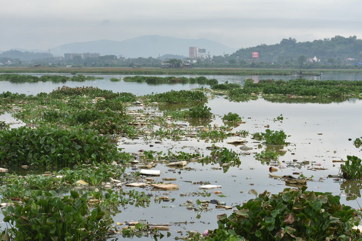 Pramod kalita tweet media