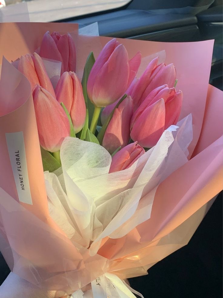 aestheticspost_'s tweet photo. tulips https://t.co/CRlarAAAx7
