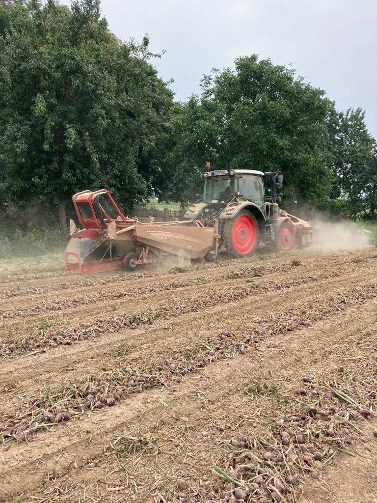GRIMMEGroup's tweet photo. The #RowShow2022 must go on! Potato and onion harvest with the EVO 280 and WV 165 is in full swing - which means our RowShow mobile is also on the road. 🥔🧅 #potato #onions #evo280 #wv165 https://t.co/7UmUVKRyx6