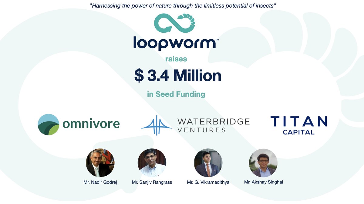 Loopworm tweet media