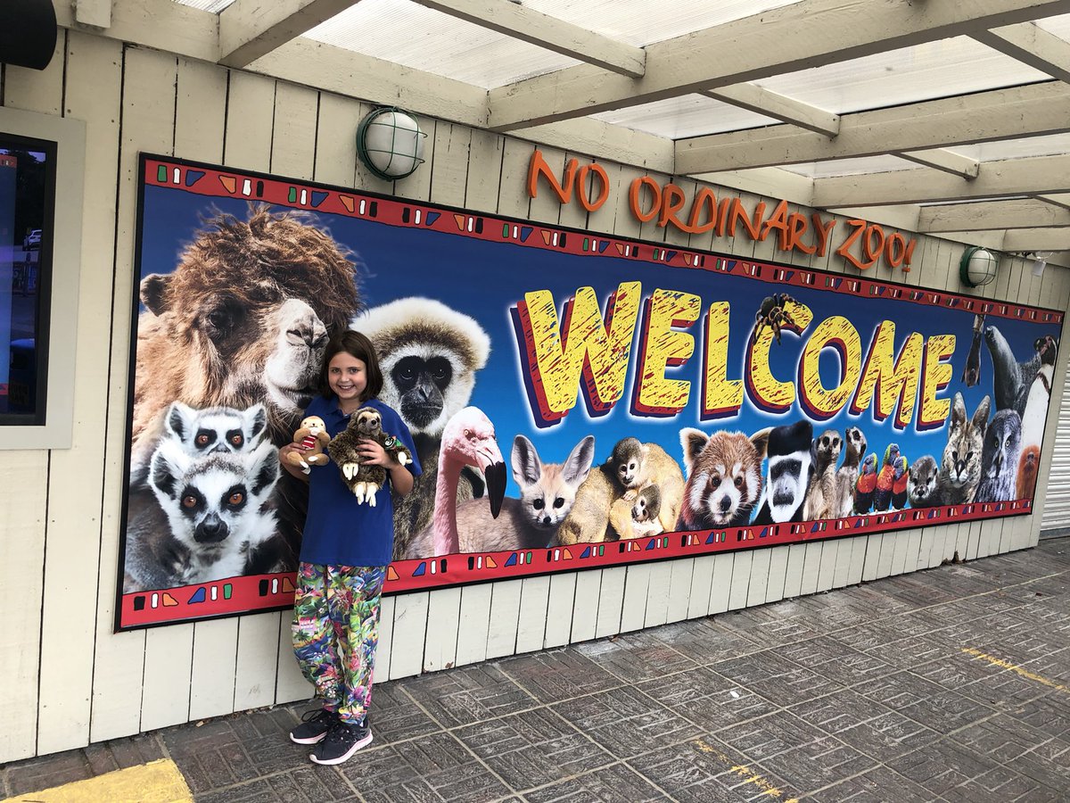 Phill Hall tweet media