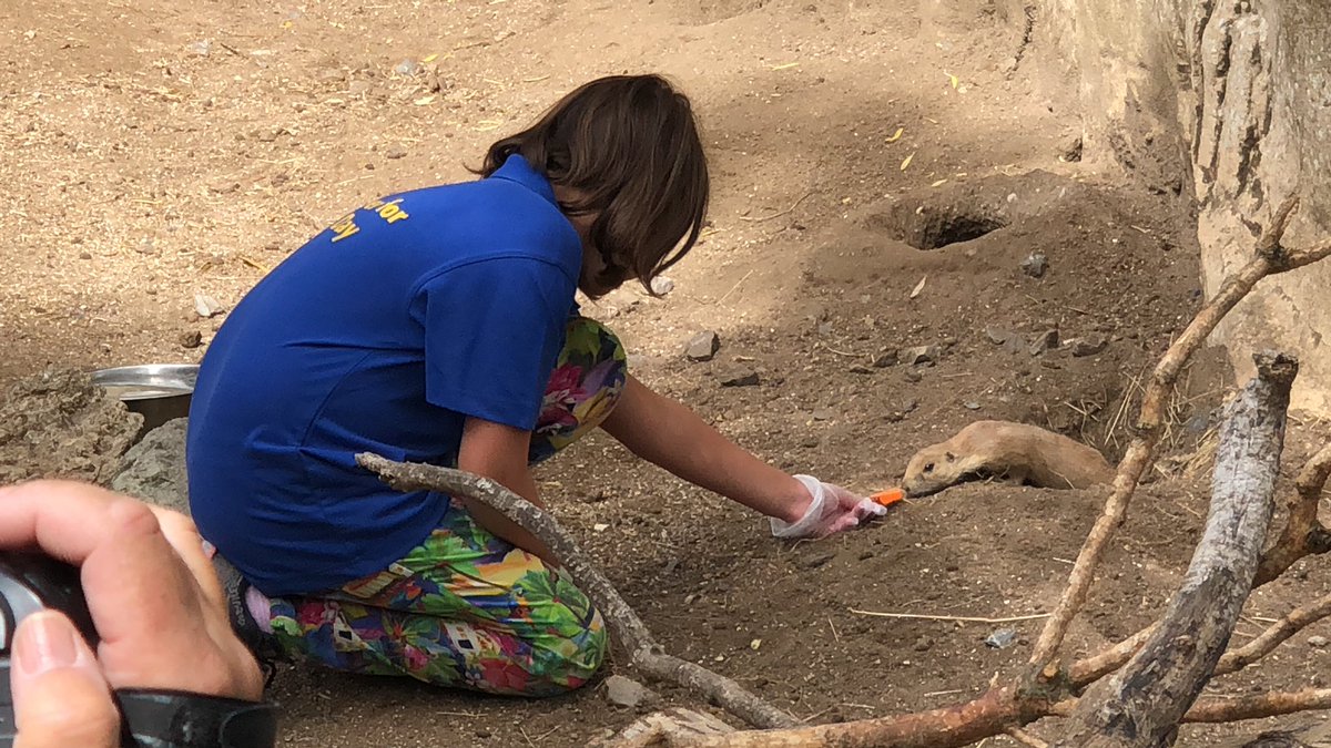 Phill Hall tweet media