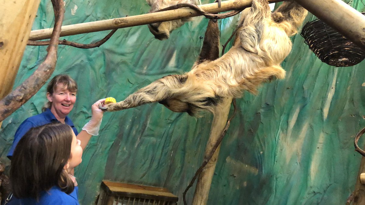 Phill Hall tweet media