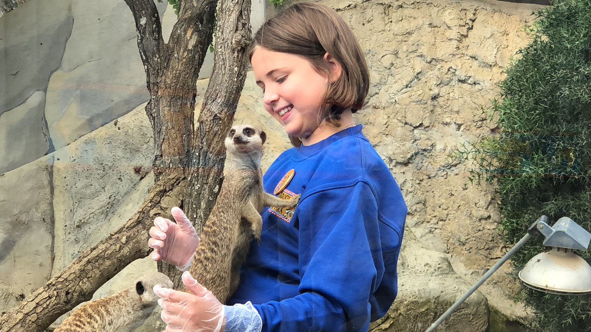 Phill Hall tweet media