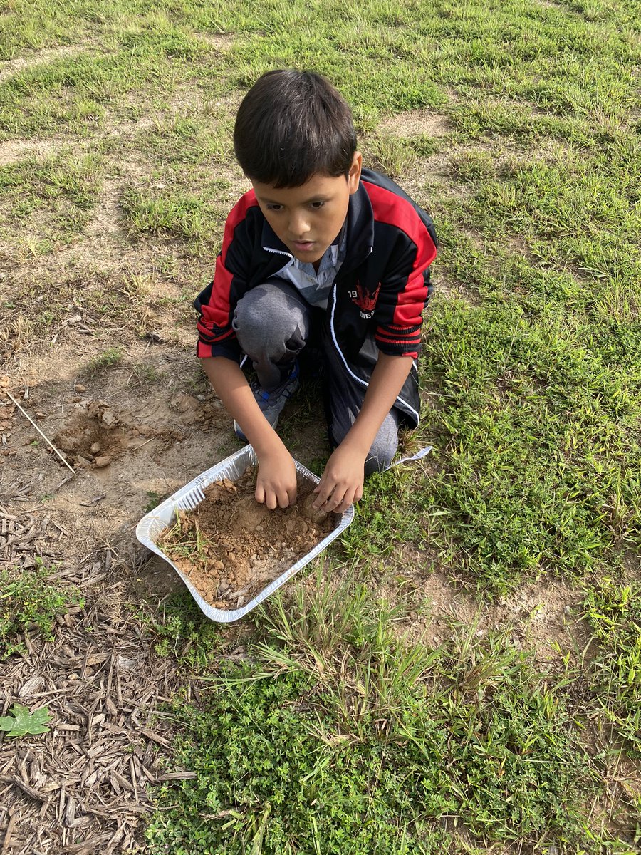 Learning about landforms and the effects of constructive and destructive forces in 5th grade Science. We will watch the changes for a few weeks and record it in our journals. <a href="/MRegan0123/">Dr. Rosario-Regan</a> <a href="/Beth_Coryell/">Beth Coryell</a> <a href="/JanetMarotte777/">Janet Marotte</a>
