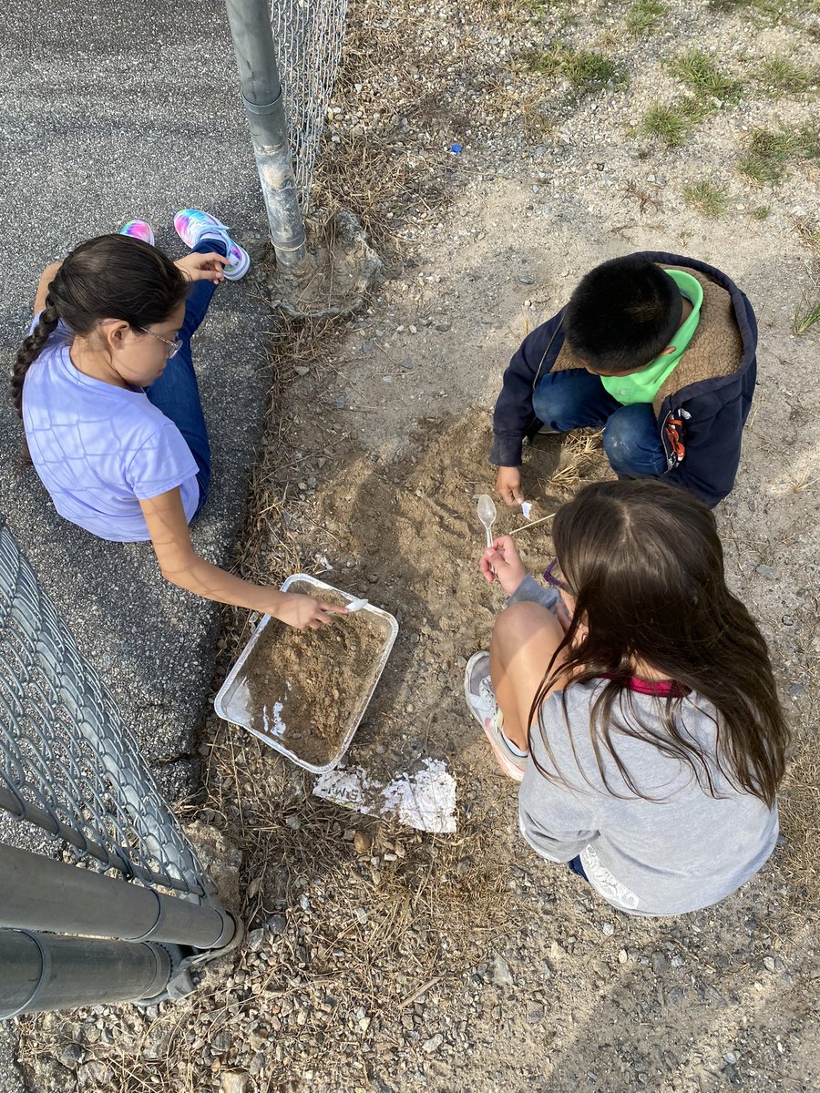 jen_frady's tweet photo. Learning about landforms and the effects of constructive and destructive forces in 5th grade Science. We will watch the changes for a few weeks and record it in our journals. @MRegan0123 @Beth_Coryell @JanetMarotte777 https://t.co/GrInDcLftH
