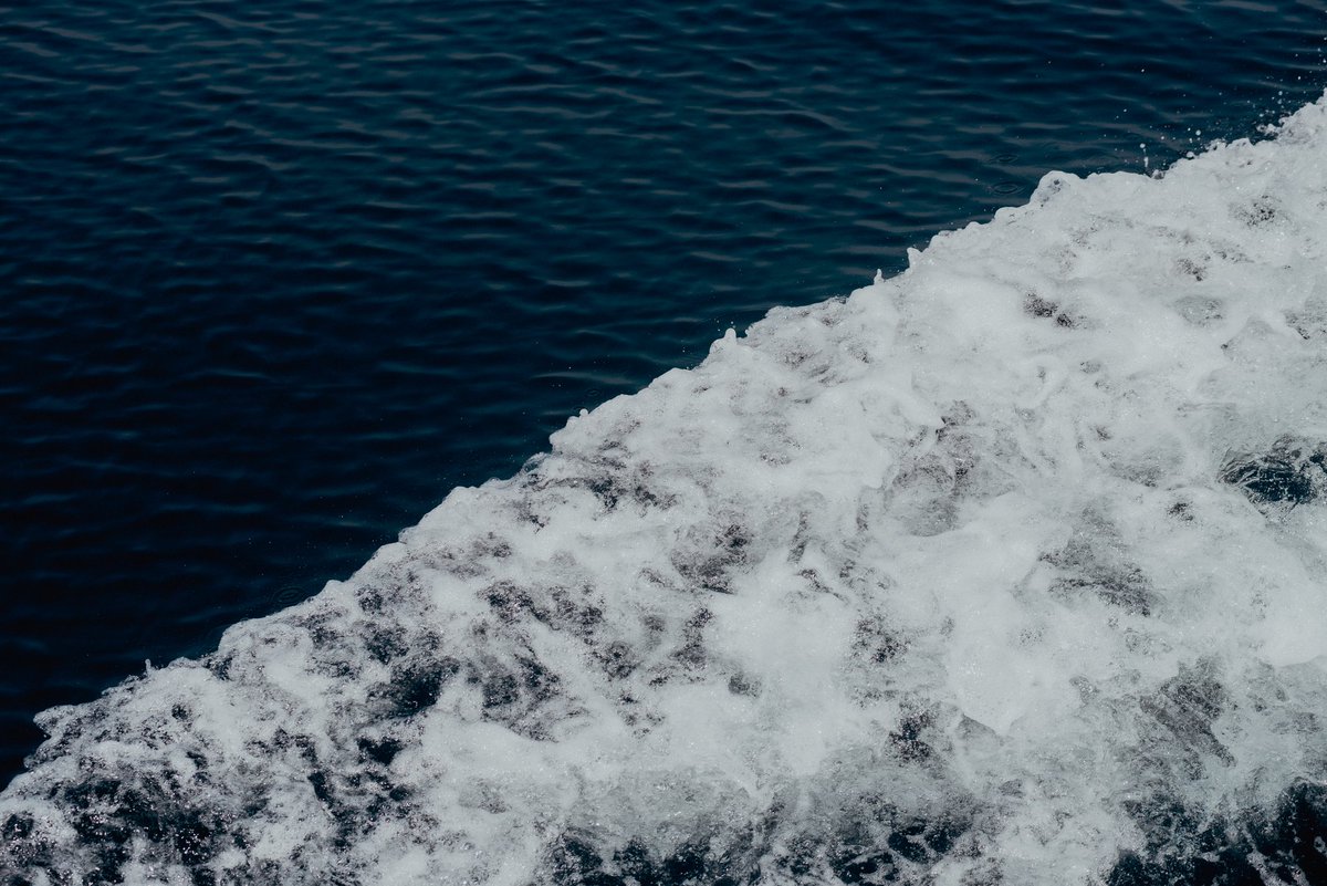 Fotofools 📸 tweet media