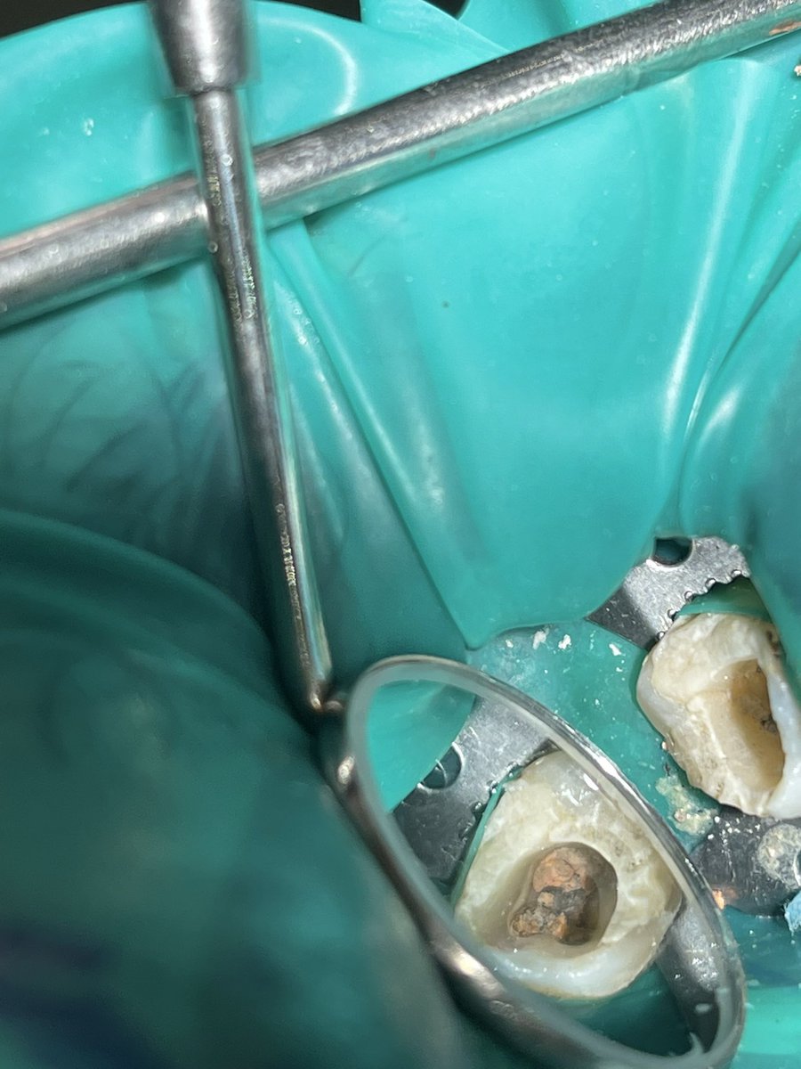 Mohammad Alotaibi tweet media