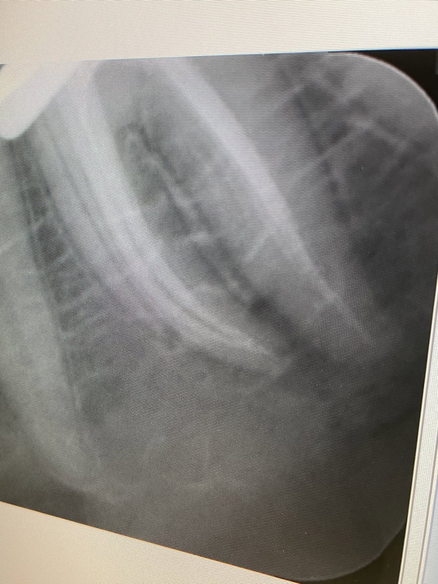 Mohammad Alotaibi tweet media