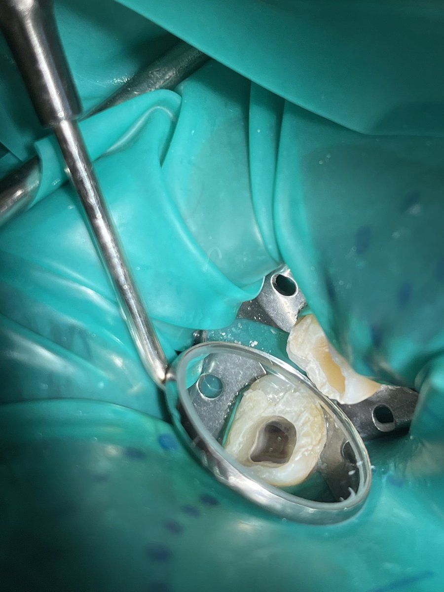 Mohammad Alotaibi tweet media