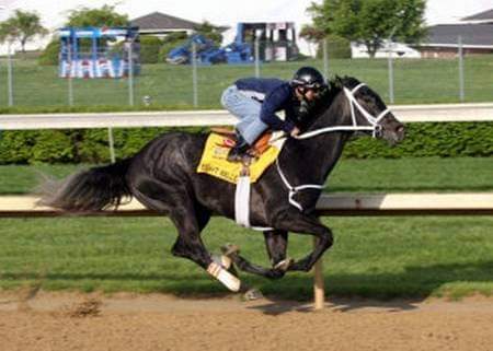 HORSERACING1002's tweet photo. EIGHT BELLES ๐บ๐ธ 2005
(UNBRIDLED'S SONG - AWAY BY DIXIELAND BAND)#EightBelles
A G2 Stakes winner ๐ in USA ๐บ๐ธ. https://t.co/2YmIjXPtC7