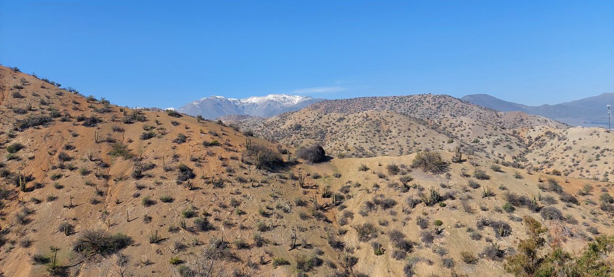 Juan Sepúlveda tweet media