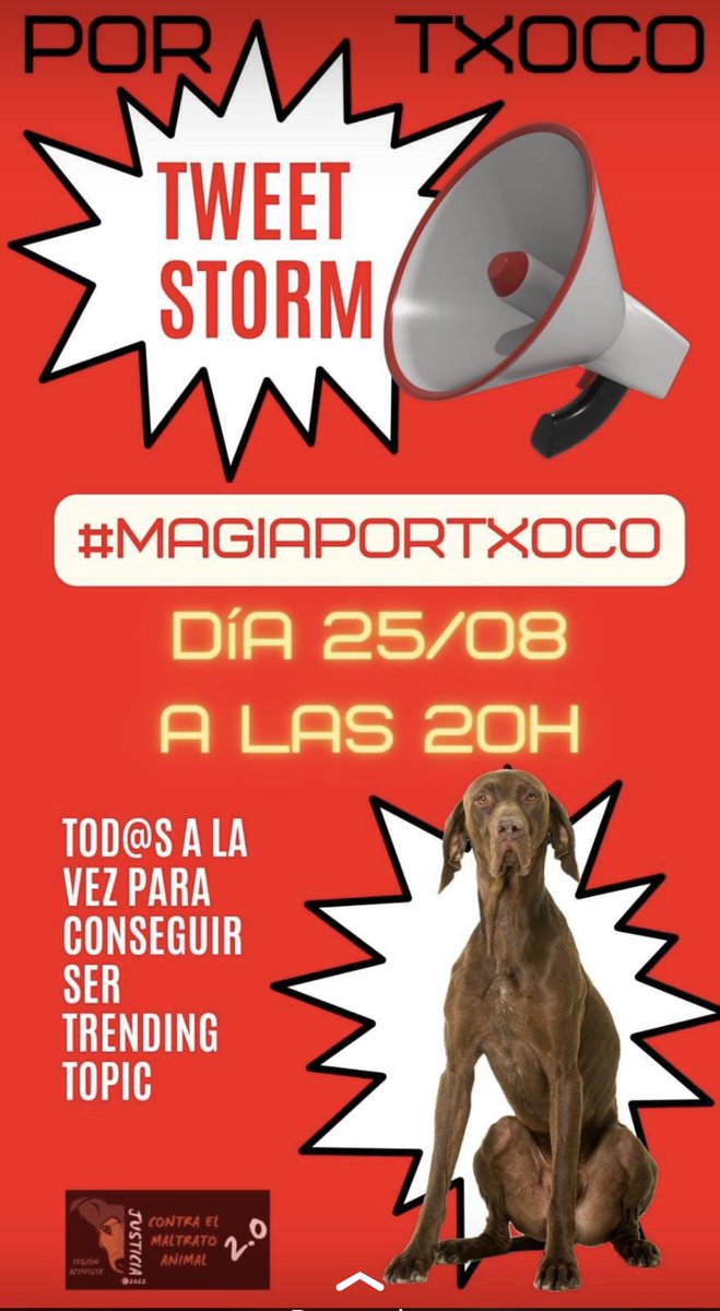 paloaguado's tweet photo. #magiaportxoco Cuando alguien roba un perro, arranca un miembro a una familia, arranca el al corazón a su dueño. Por favor, devolved a Txoco. Estará asustado, triste y aterrorizado. Y cómo son los perros, encima de sentirá culpable :( https://t.co/qGhRFhEPau