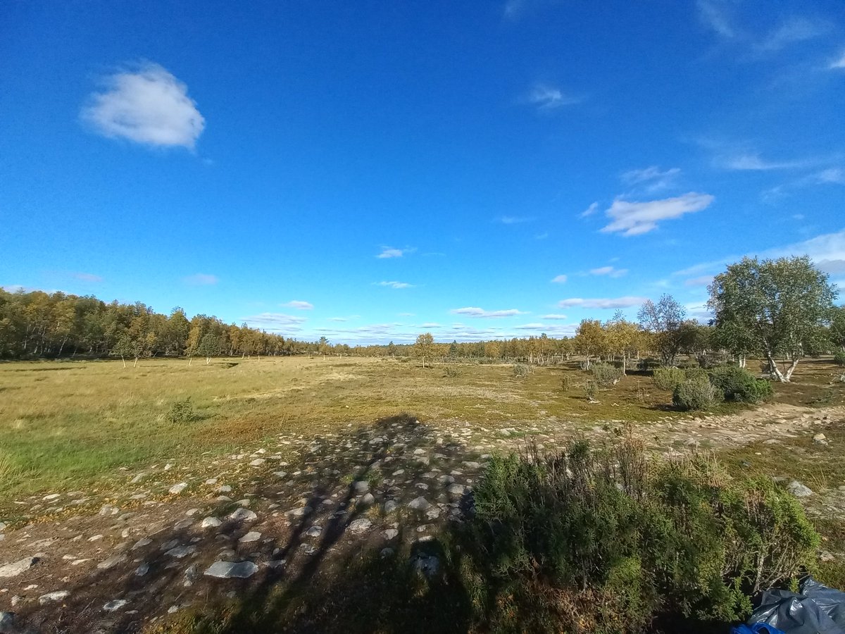 MiguelVillosPe's tweet photo. So proud of #LANDMOD project interns team! Aliisa, Antti and Michelle have been super helpful and incredibly good fun to work with. Henni Ylänne and I couldn't be happier!
@DigGeoUef @TimoKumpula1 https://t.co/XpLKCMW5Ol