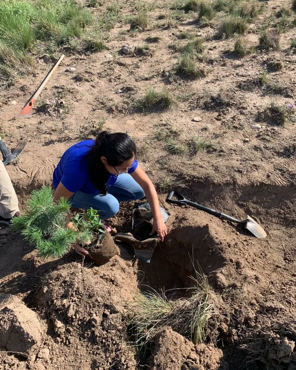 VerteAction's tweet photo. Félicitations à Cossete Alondra une volontaire environnementaliste  depuis Saltillo,  une ville du nord du Mexique, capitale de l'État de Coahuila d'avoir organisé une activité de reboisement. 

Ensemble pour une planète verte ! 
#ClimateEmergency 
#développementdurable 
@CCNUCC https://t.co/qRLcF2wrFS