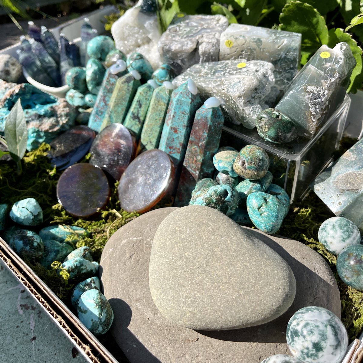 TheFaeryGrove's tweet photo. A peek at Fridays collection 🍃🧚🏼‍♀️✨ https://t.co/g5PSbWkXa4