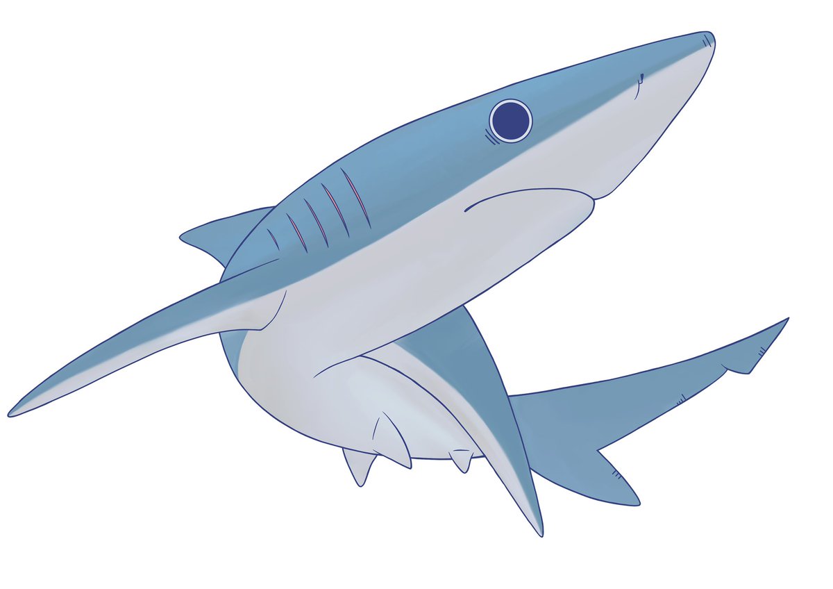 🦈めかぶ🦈 on X
