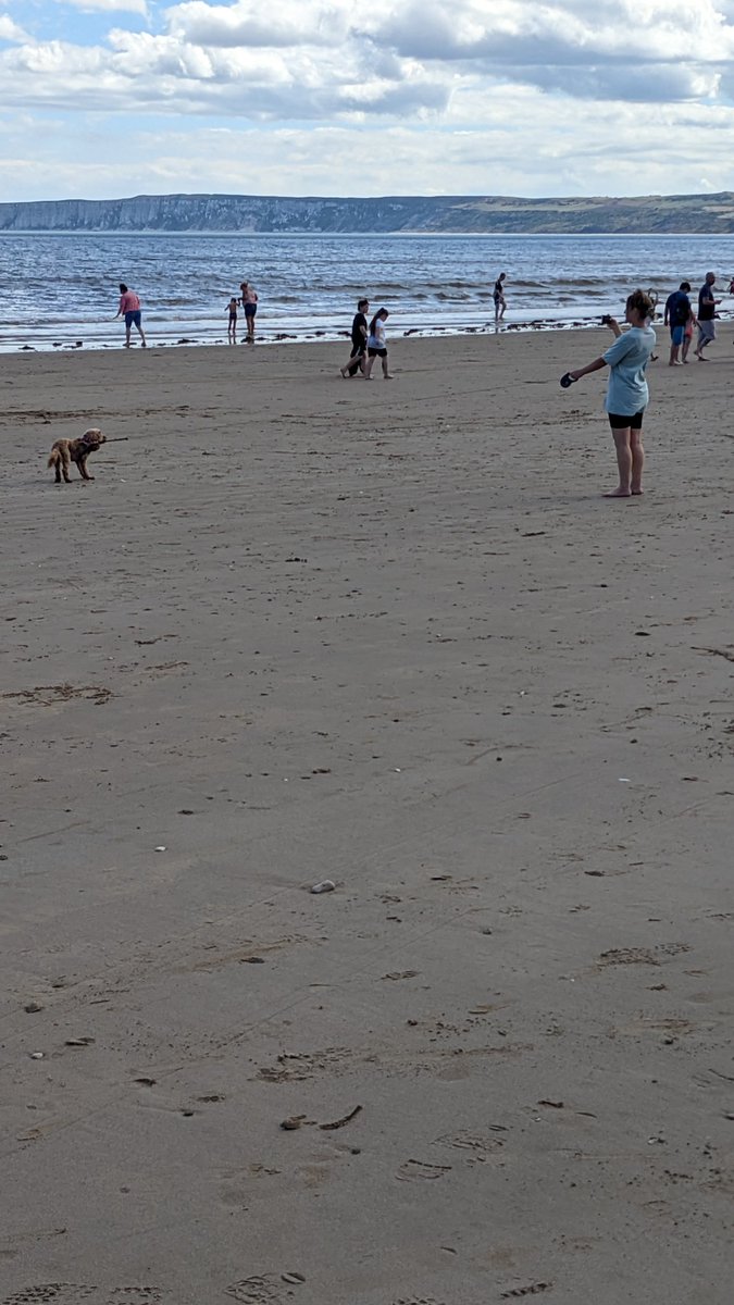 FileyRocks tweet media