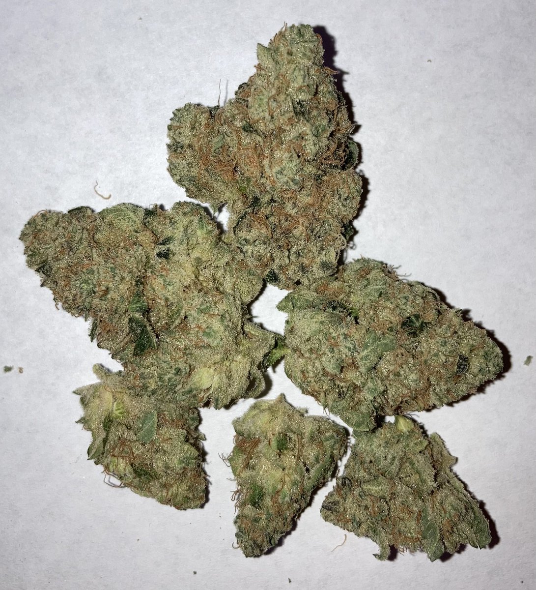McspagsBags's tweet photo. Wake and bake time with some Filthy Animals from @KindTreeCanna
What are you loading up to start the day?
(Review: https://t.co/Ebje04Ob5o)
#CannabisCommunity #njcannabis #cannabisphotography #Mmemberville #StonerFam #weedpics #kindtree #indica #sativa #WakeAndBake https://t.co/FXvcaAVQU5